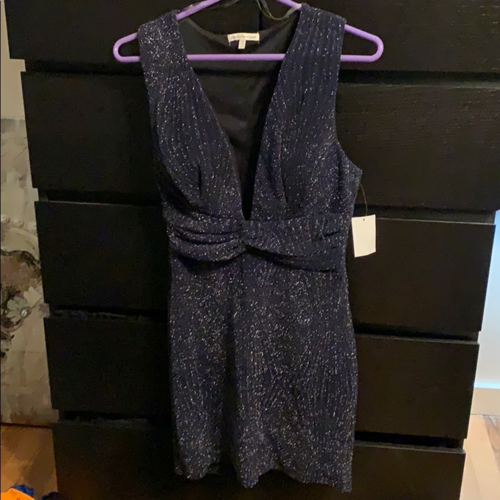 Short shimmery dress.  NWT